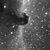 horsehead.jpg (77351 bytes)