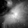 m42.jpg (14117 bytes)