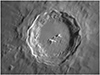 Copernicus 10.33 days
