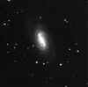 ngc2903.jpg (24262 bytes)