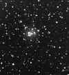 ngc1624.jpg (36112 bytes)