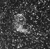 ngc2359.jpg (81888 bytes)