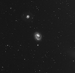 Arp23