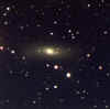 Arp135