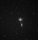 Arp271