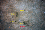 Barnard 180