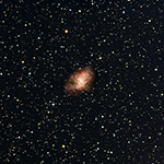 M1
